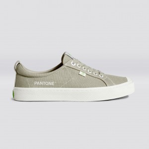 Dámské OCA LOW Cariuma Low Top Canvas Plaza Taupe | SKHZG0719