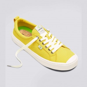 Dámské OCA LOW Cariuma Low Top Canvas Žluté | ZRVDS6427
