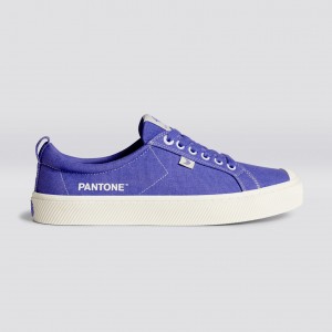 Dámské OCA LOW Cariuma Low Top Platene Veganské Very Peri / Off-White Canvas | JZMXN6743