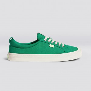 Dámské OCA LOW Cariuma Low Top Platene Veganské Zelene | VWYDT3840