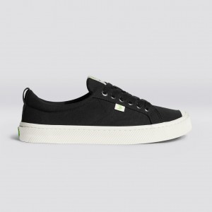 Dámské OCA LOW Cariuma Low Top Platene Veganské Černé | PBJDV5638
