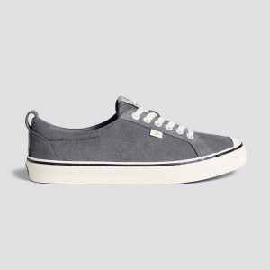 Dámské OCA LOW Cariuma Low Top Suede Šedé | CXOJL9428