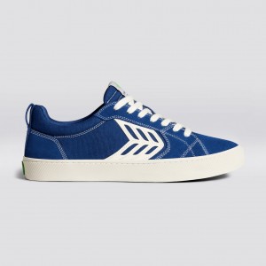 Pánské CATIBA PRO Cariuma Low Top Platene Veganské Blankyt | QCZNE7843