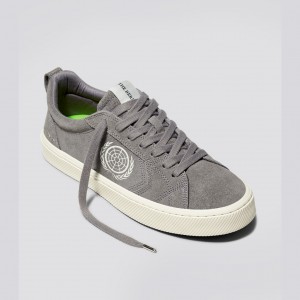 Pánské CATIBA PRO Cariuma Low Top Suede Šedé | SGWEM0516
