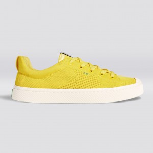 Pánské IBI Cariuma Low Top Bamboo Weave Knit Vegan Žluté | KJBLT7814