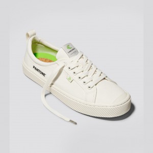Pánské OCA LOW Cariuma Low Top Canvas Bílé | CFAQZ6247