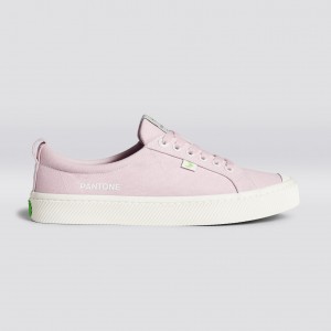 Pánské OCA LOW Cariuma Low Top Canvas Pale Lilac | WEUVM6052