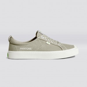 Pánské OCA LOW Cariuma Low Top Canvas Plaza Taupe | QGSRB1407
