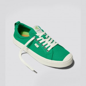 Pánské OCA LOW Cariuma Low Top Platene Veganské Zelene | PBWDN7629