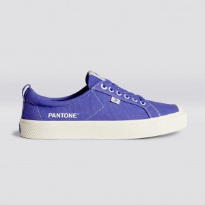 Pánské OCA LOW Cariuma Low Top Platene Veganské Very Peri / Off-White Canvas | DSCQW1096