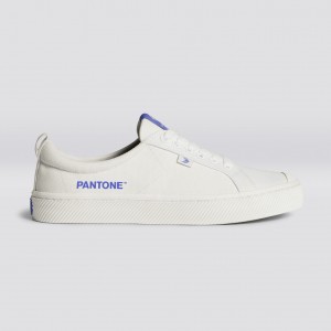 Pánské OCA LOW Cariuma Low Top Platene Veganské Off-White / Very Peri Canvas | UTNDA2903