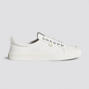Pánské OCA LOW Cariuma Low Top Platene Veganské Off-White | DYSQU2016